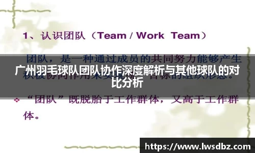 广州羽毛球队团队协作深度解析与其他球队的对比分析
