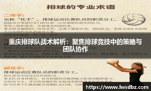 HB火博官方手机入口