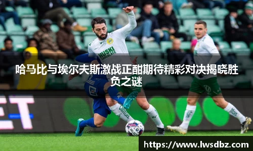 HB火博官方平台